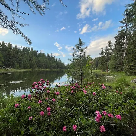 Chesa Munteratsch 1-zimmerwohnung 306 Typ B 公寓 席尔瓦普拉纳