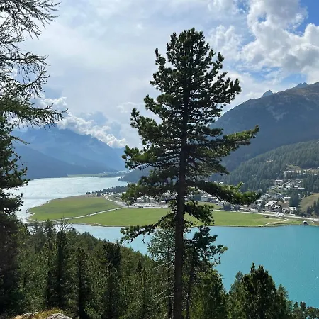 Chesa Munteratsch 1-zimmerwohnung 306 Typ B 公寓