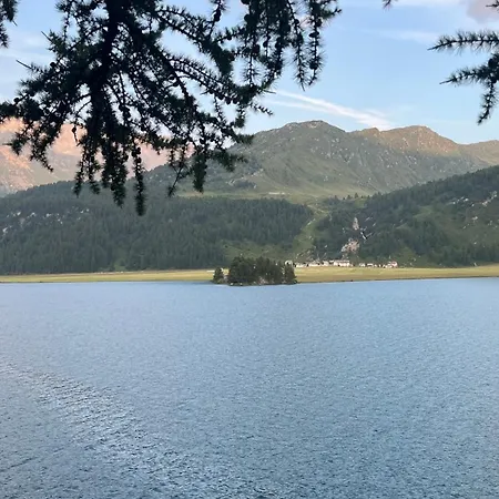 Chesa Munteratsch 1-zimmerwohnung 306 Typ B 席尔瓦普拉纳