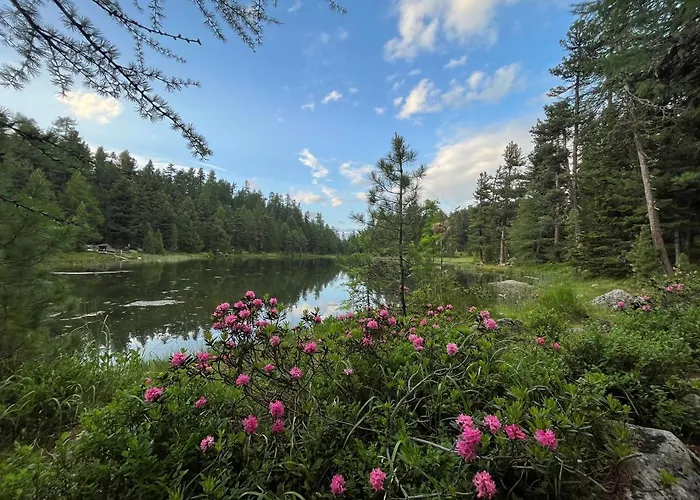 Chesa Munteratsch 1-zimmerwohnung 306 Typ B Apartman Silvaplana