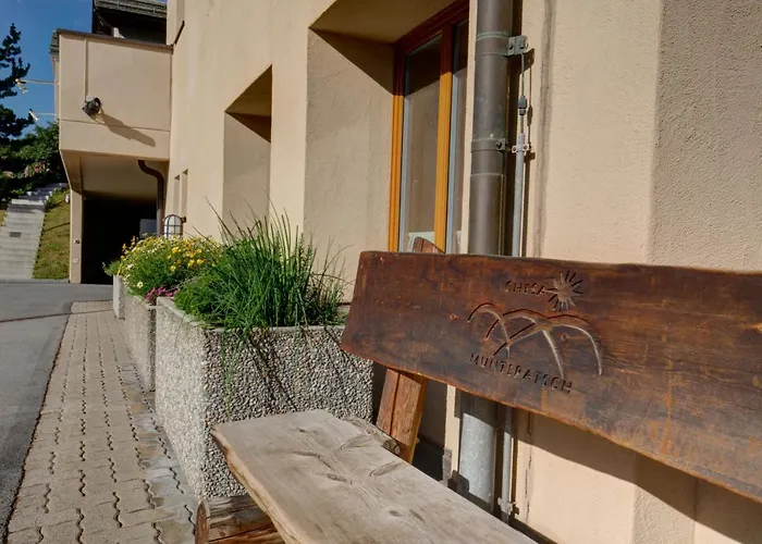 Apartman Chesa Munteratsch 1-zimmerwohnung 306 Typ B Silvaplana