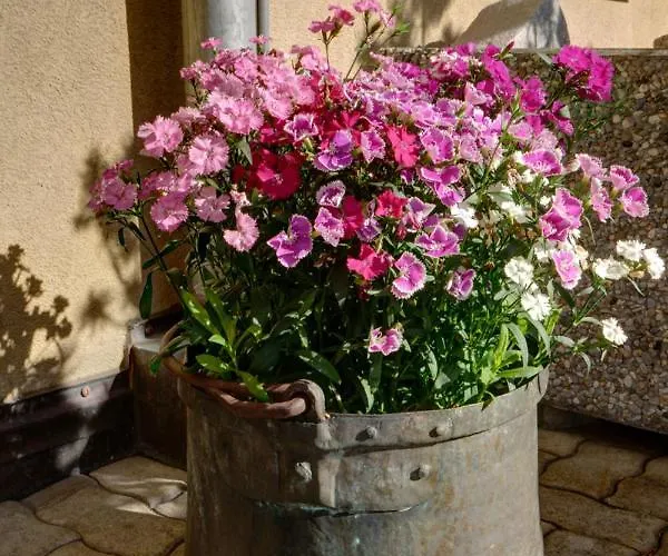 Chesa Munteratsch 1-zimmerwohnung 306 Typ B Silvaplana