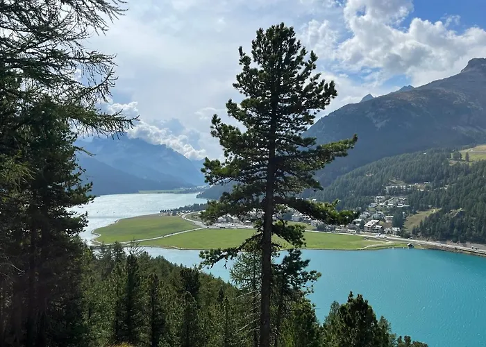 Chesa Munteratsch 1-zimmerwohnung 306 Typ B Apartman