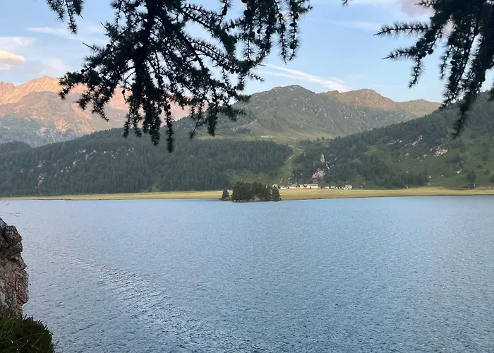 Chesa Munteratsch 1-zimmerwohnung 306 Typ B Silvaplana